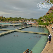 фото из отзыва ID 925396