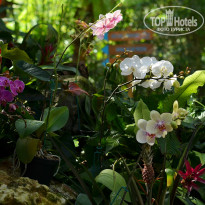 фото из отзыва ID 925396