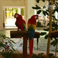 фото из отзыва ID 925396