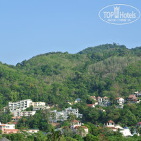 фото из отзыва ID 925492