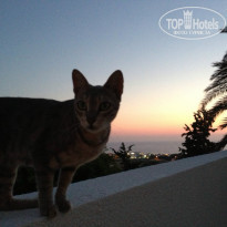 фото из отзыва ID 925678