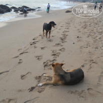 фото из отзыва ID 925656