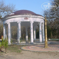 фото из отзыва ID 925736