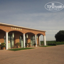 фото из отзыва ID 925792