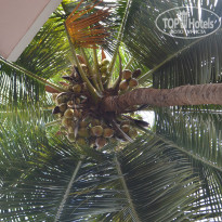 фото из отзыва ID 925890