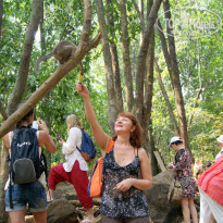 фото из отзыва ID 926067