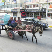 фото из отзыва ID 926129