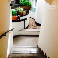 фото из отзыва ID 926228