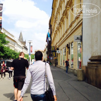 фото из отзыва ID 926228