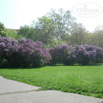 фото из отзыва ID 926413