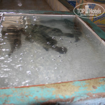 фото из отзыва ID 926585