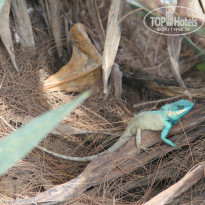 фото из отзыва ID 926585