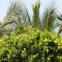 фото из отзыва ID 926585