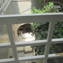 фото из отзыва ID 926620