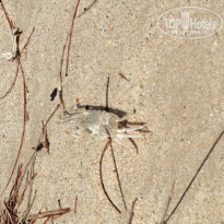 фото из отзыва ID 926770