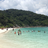 фото из отзыва ID 926770