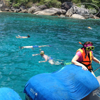 фото из отзыва ID 926770