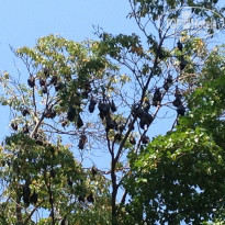 фото из отзыва ID 926770