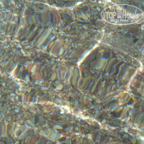 фото из отзыва ID 926786