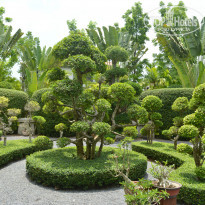 фото из отзыва ID 927338