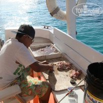 фото из отзыва ID 927397