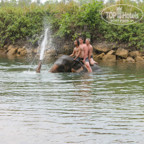 фото из отзыва ID 927635