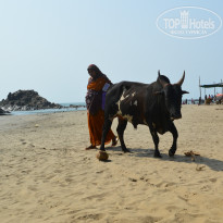 фото из отзыва ID 927704