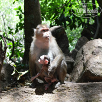 фото из отзыва ID 927704