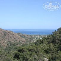 фото из отзыва ID 927745