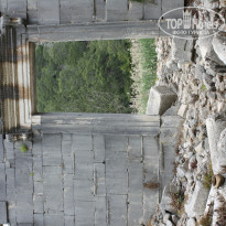 фото из отзыва ID 927745