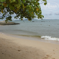 фото из отзыва ID 927815