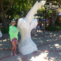 фото из отзыва ID 928037