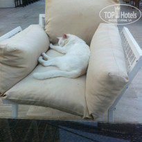 фото из отзыва ID 928109