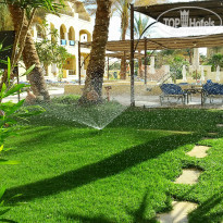 фото из отзыва ID 928502