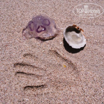 фото из отзыва ID 928633