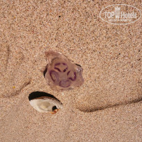 фото из отзыва ID 928633