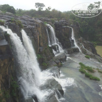 фото из отзыва ID 928784