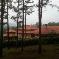 фото из отзыва ID 928784