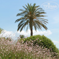 фото из отзыва ID 928855