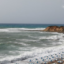 фото из отзыва ID 928855