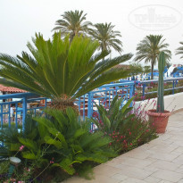 фото из отзыва ID 928855