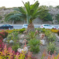 фото из отзыва ID 928855