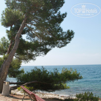 фото из отзыва ID 928863