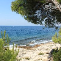 фото из отзыва ID 928863