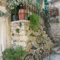 фото из отзыва ID 928863