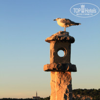 фото из отзыва ID 928863