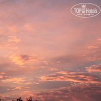 фото из отзыва ID 928863