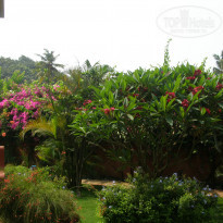 фото из отзыва ID 929025