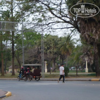 фото из отзыва ID 929293