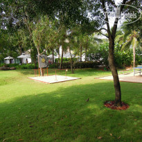 фото из отзыва ID 929347